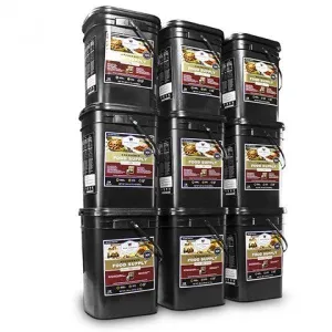 1080 Servings of Wise Emergency Food Storage