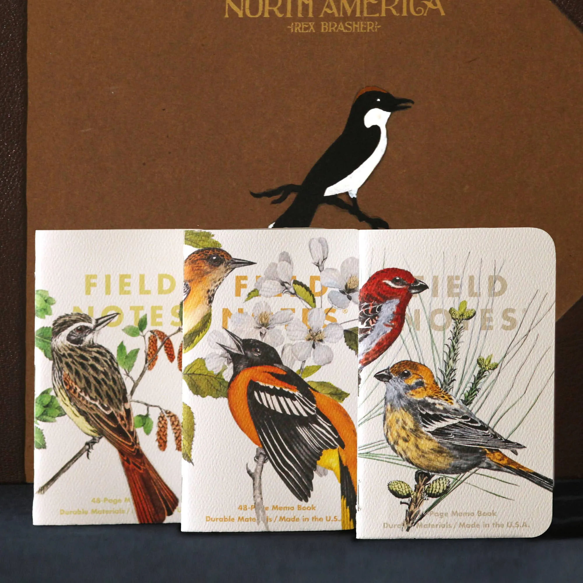 Birds and Trees of North America: Pack B