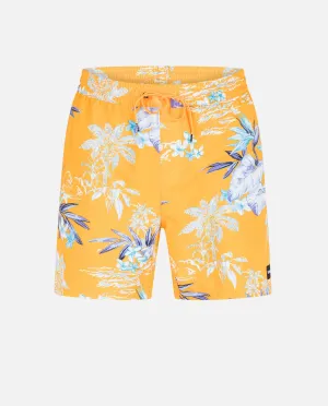 CANNONBALL VOLLEY 17" BOARDSHORT