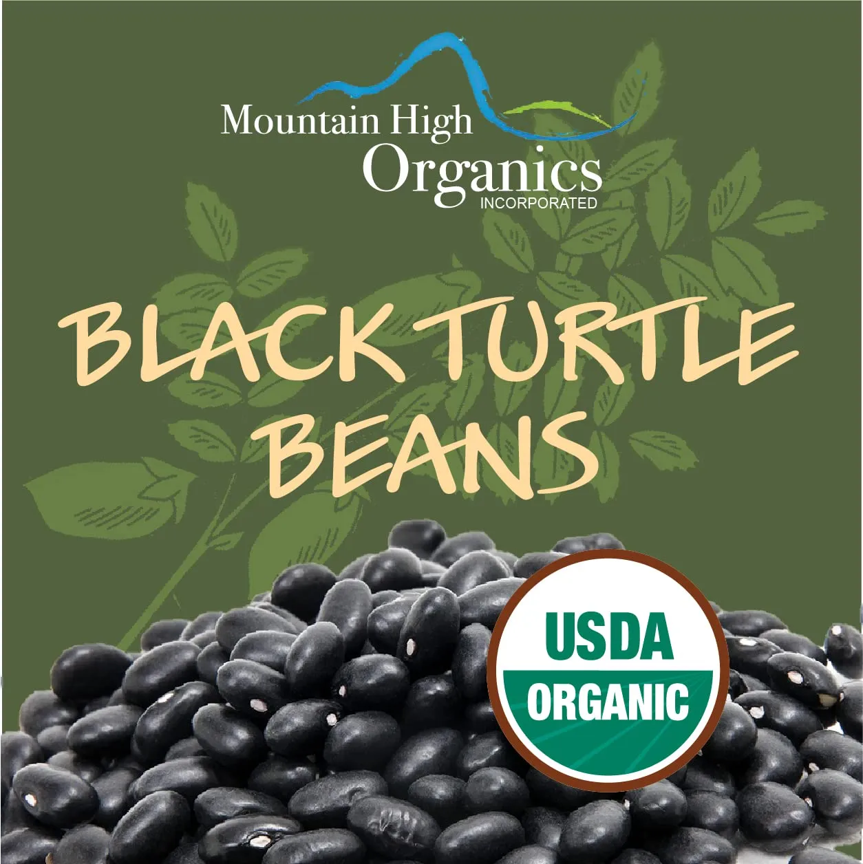 Mountain High Organics - Certified Organic Black Turtle Beans 6 Gallon/40lb Bucket